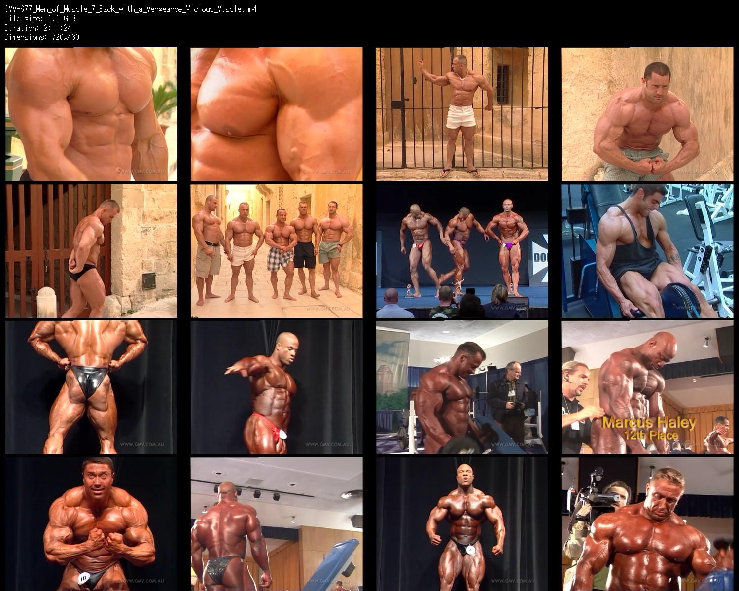 GMV-677_Men_of_Muscle_7_Back_with_a_Vengeance_Vicious_Muscle.mp4.jpg